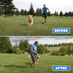 Generic Barks No More handheld unit pressed for quick correction.
