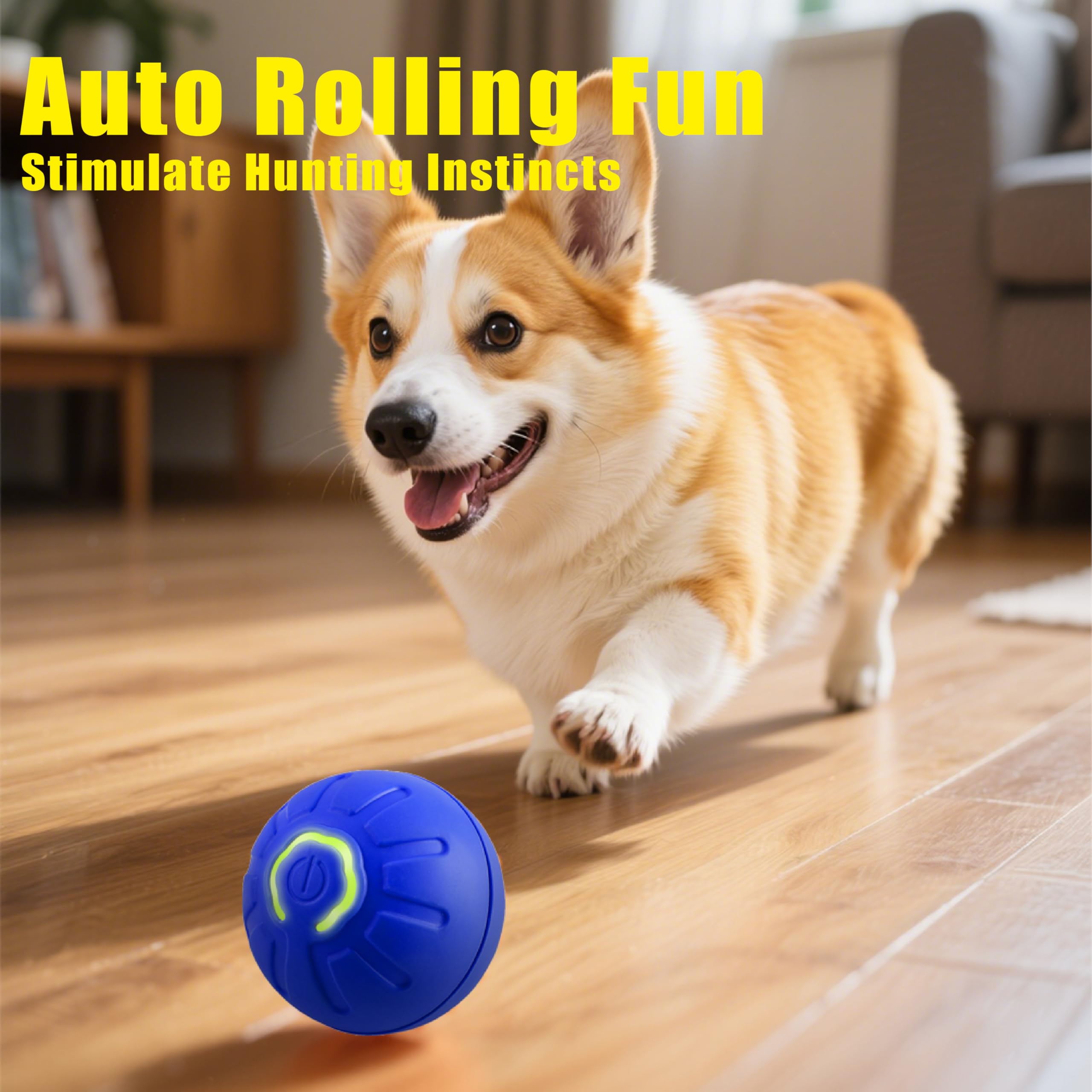Motion-sensor ball rolling to simulate prey for cats and small dogs.