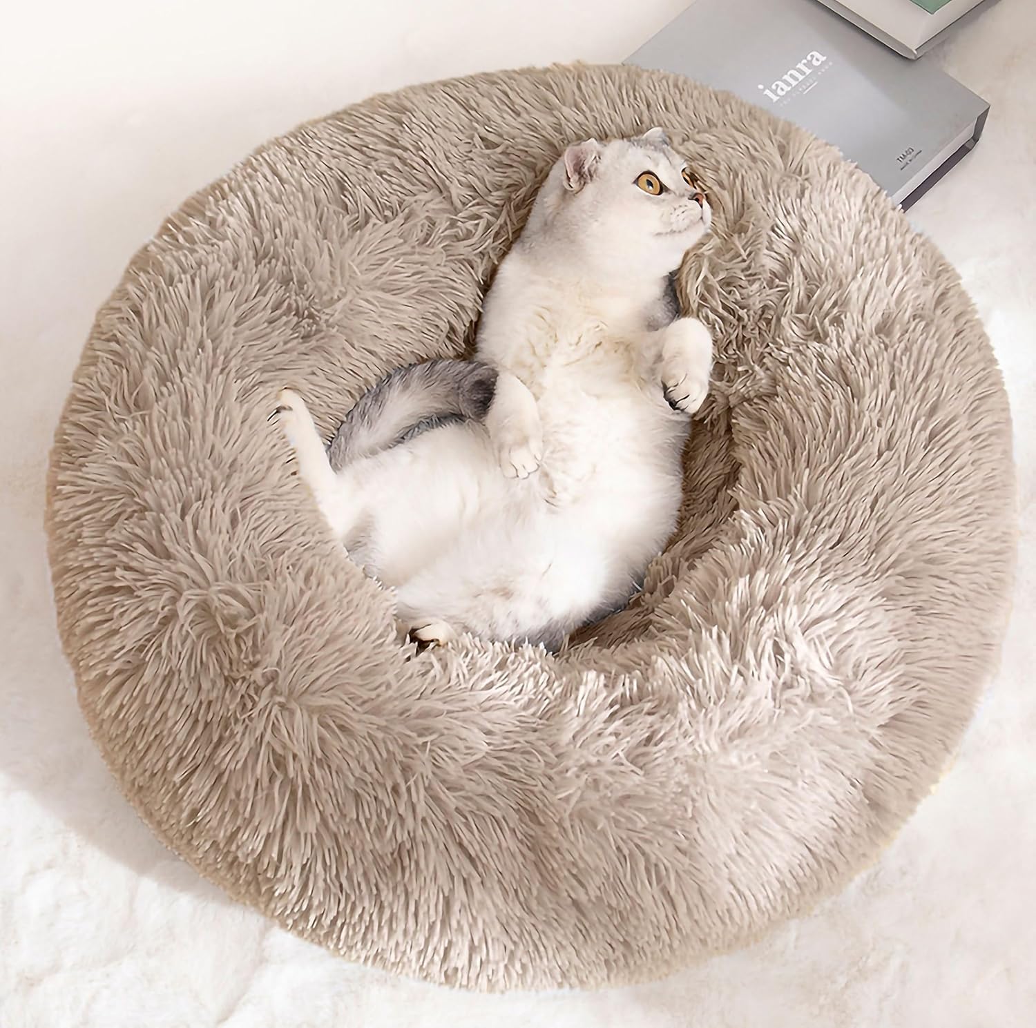 Generic cat bed donut front view shows cozy nesting for indoor cats.
