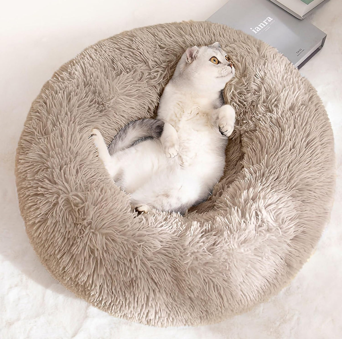 Generic cat bed donut front view shows cozy nesting for indoor cats.