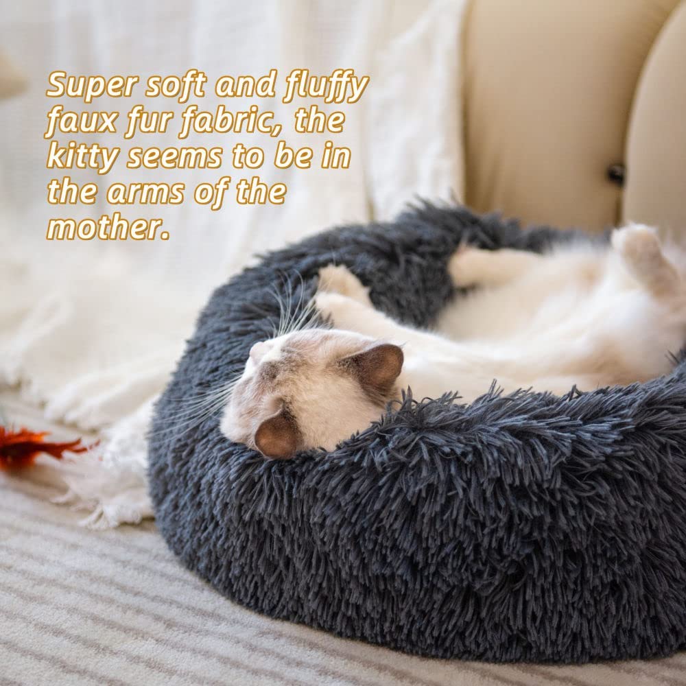 Generic cat bed raised edges support head and neck during rest.