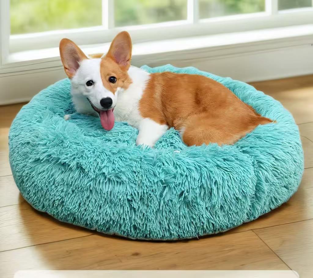 Generic cat bed round plush blue washable fabric for easy care