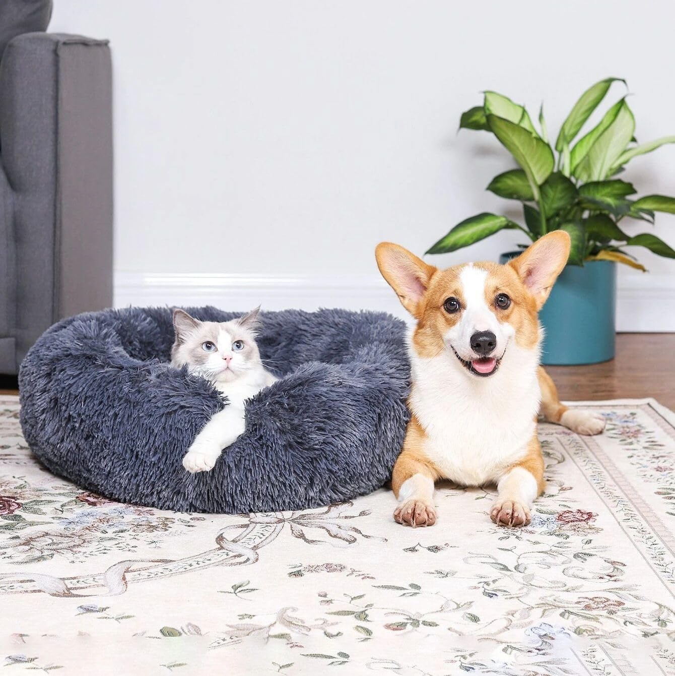 Generic cat bed washable design ensures easy cleaning and maintenance.
