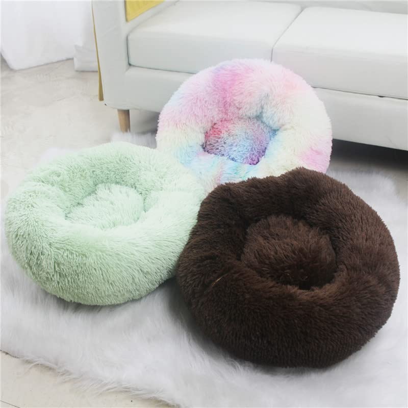 Generic machine-washable cat bed, easy to clean after playful sessions.