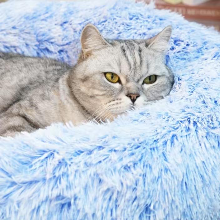 Generic cat bed donut in cornflower blue, 24x24 inches, comfortable for larger indoor cats.