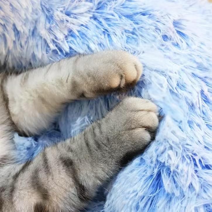 Generic cat bed interior moisture-proof lining keeps surfaces dry between uses.