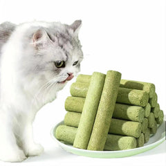 Generic Cat Grass Teething Stick with chicken flavor invites dental care and chewing pleasure.