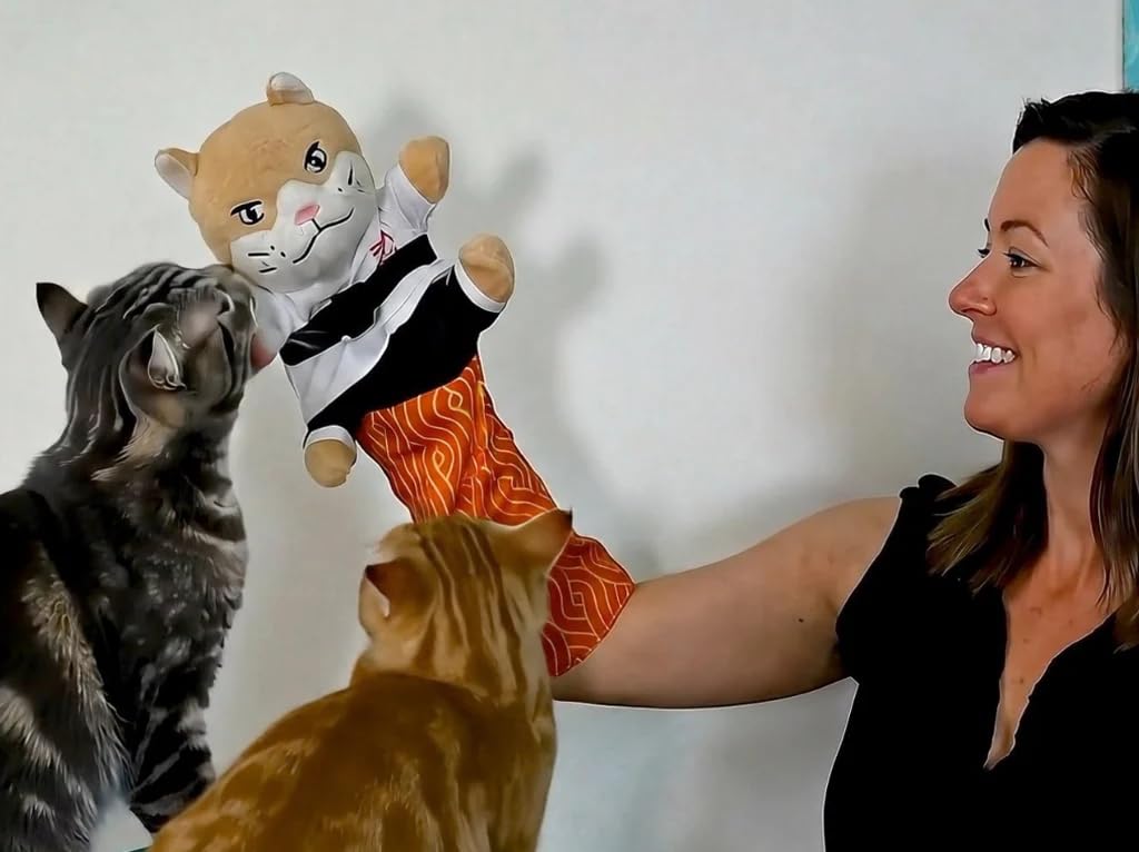 Generic Cat Karate Kitty Puppet in action for interactive bonding and hunting style play