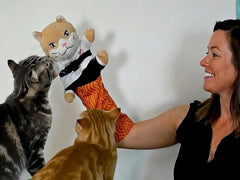 Generic Cat Karate Kitty Puppet in action for interactive bonding and hunting style play