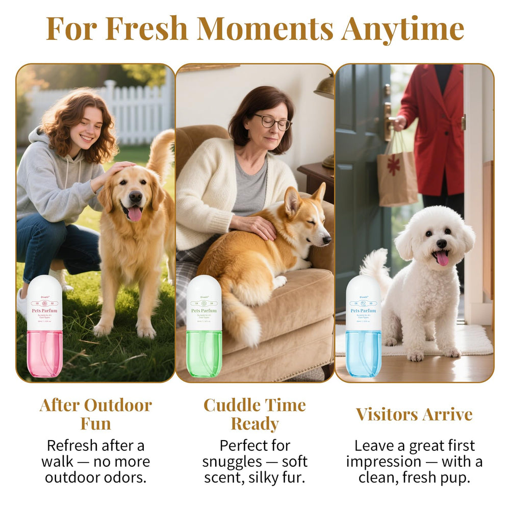 Generic cat perfume sugared fur bottle demonstrates gentle odor control