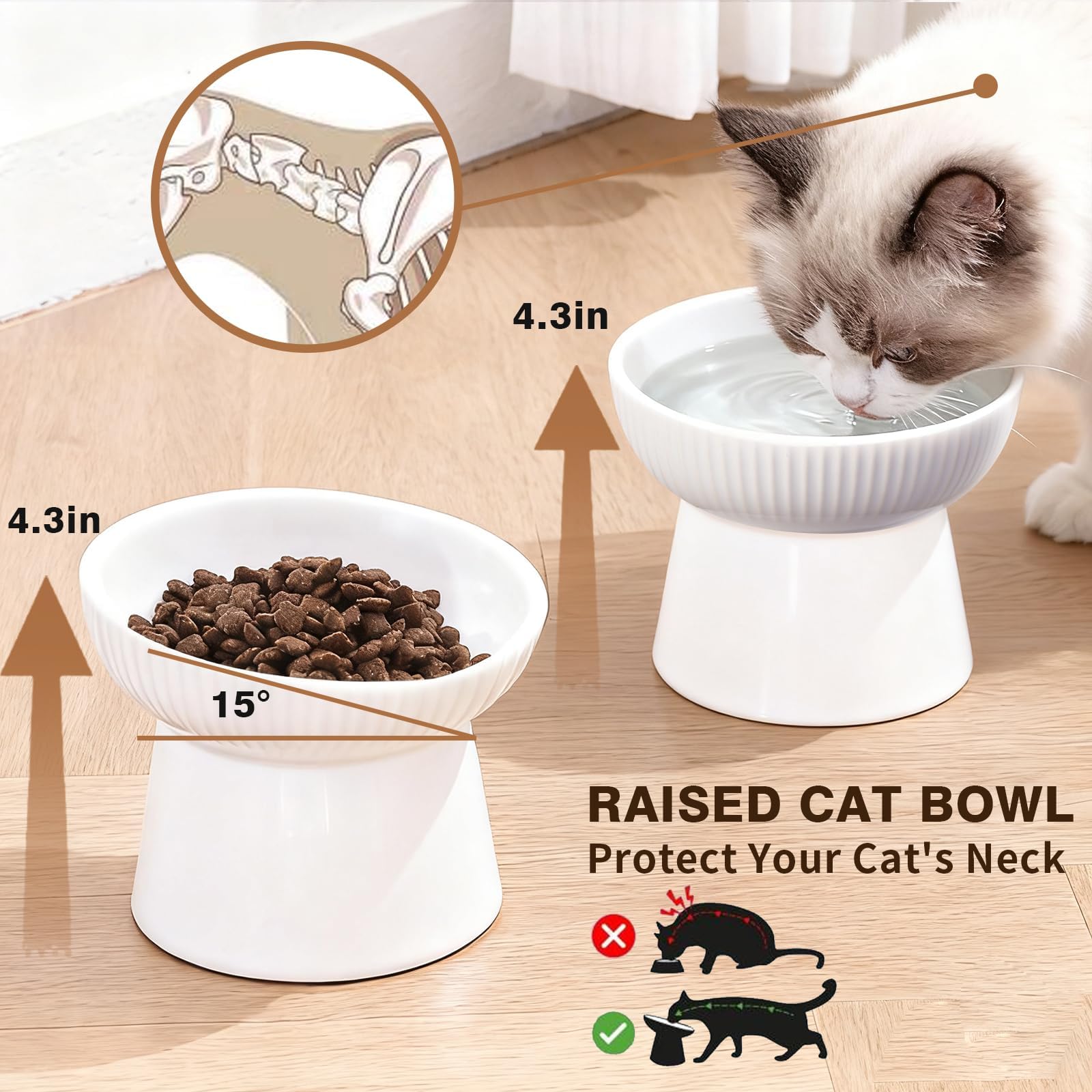 Generic ceramic-raised cat bowl is durable and easy to clean.