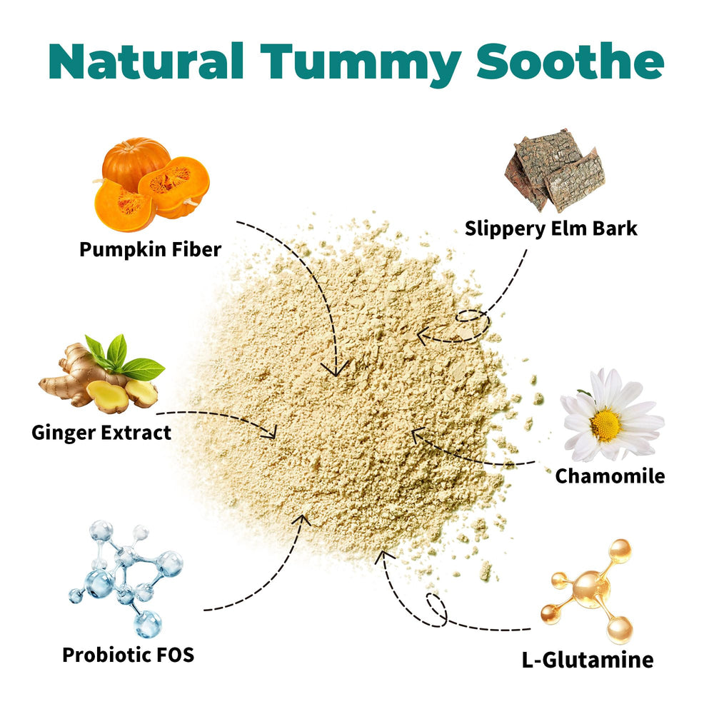 Generic Chicken-flavored powder blends easily into dog meals