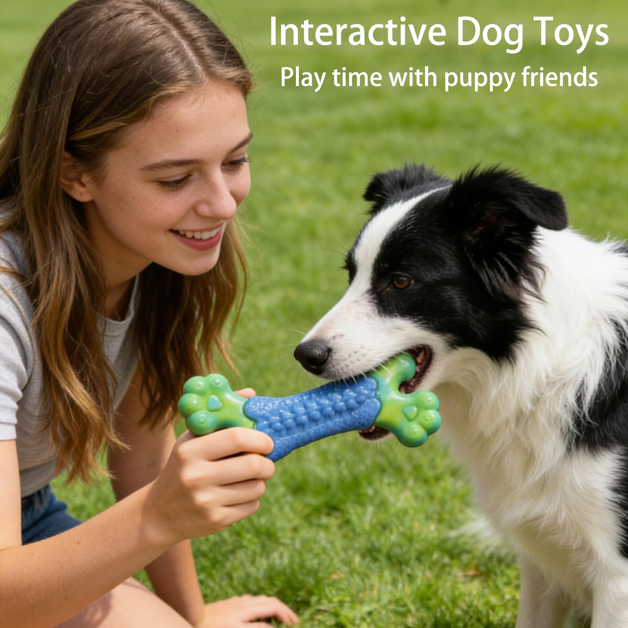 Generic crate training toy to support routine and discipline
