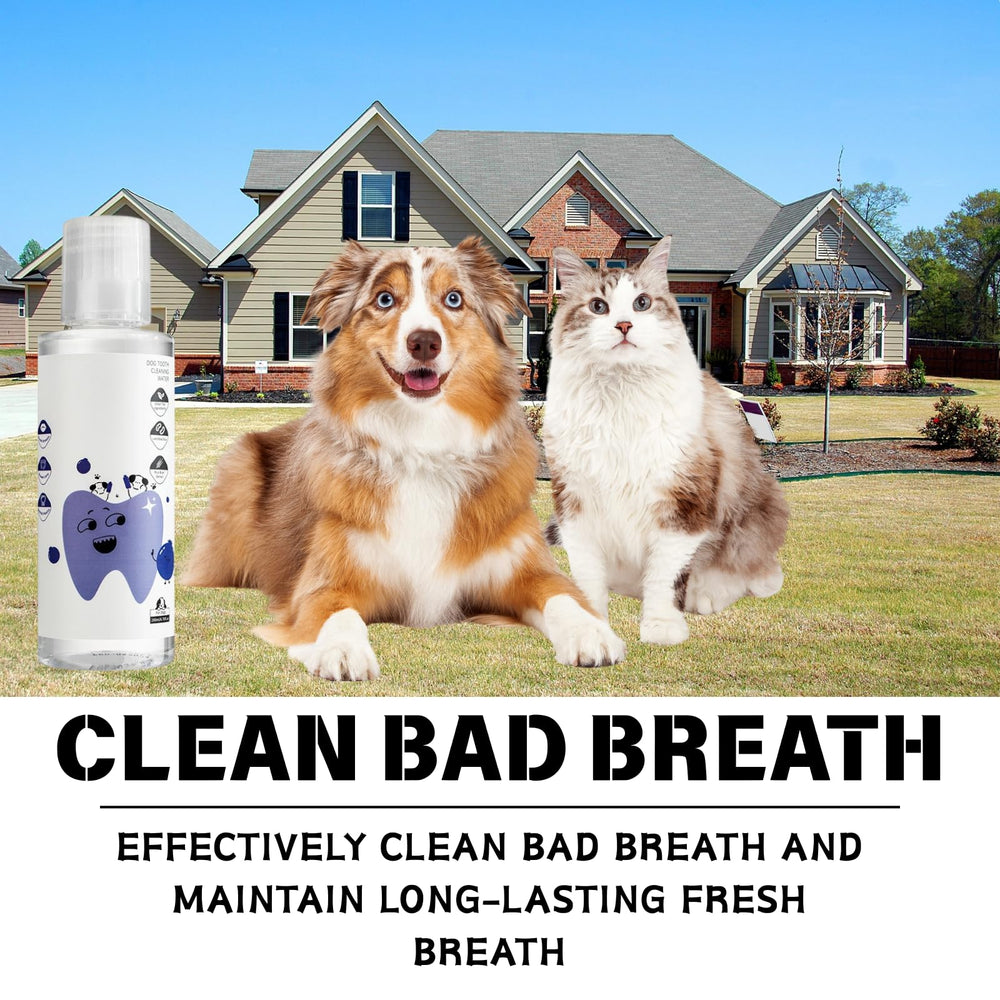 Generic Dental Plus owner adding water additive at mealtime