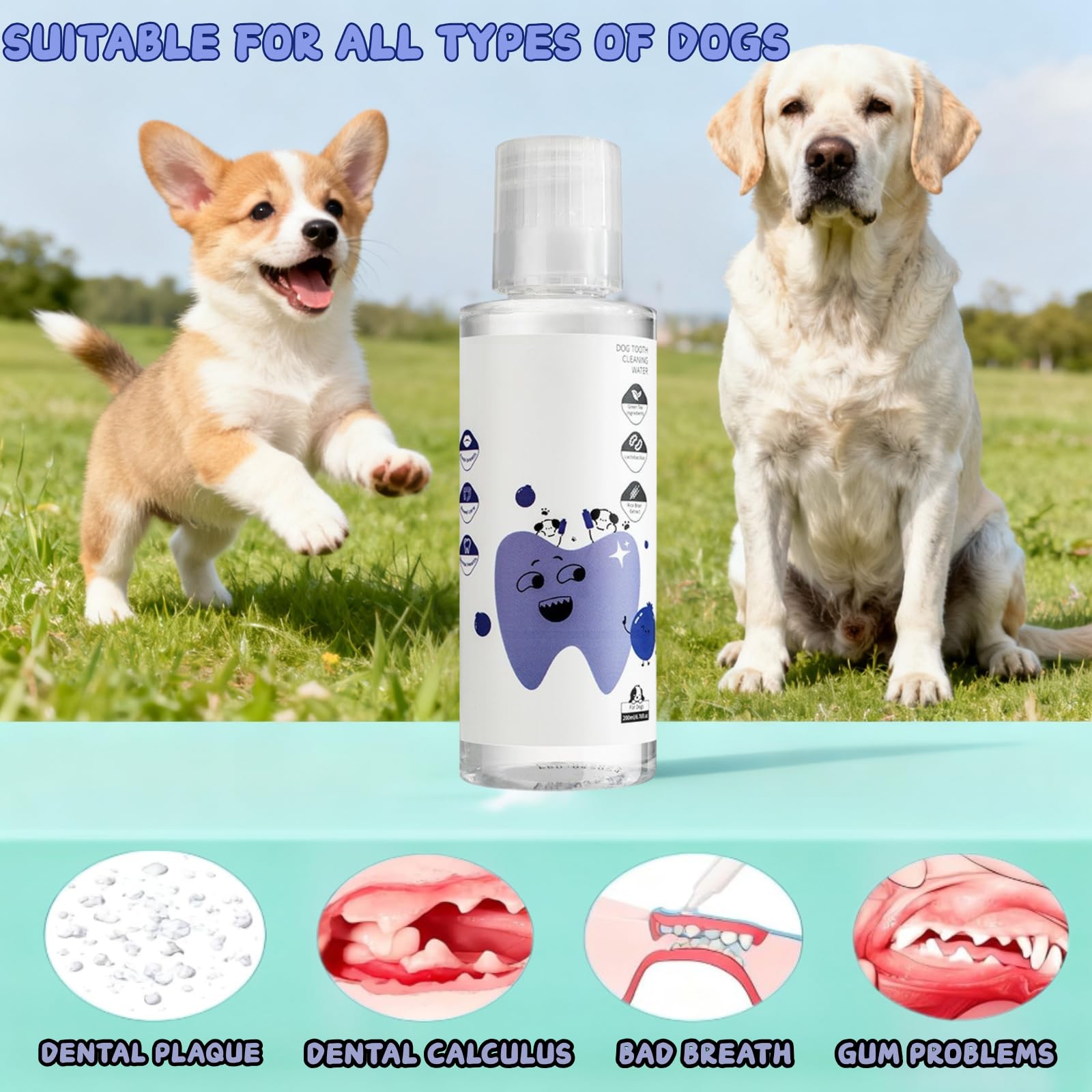 Generic Dental Plus natural plant formula ingredients shown for care