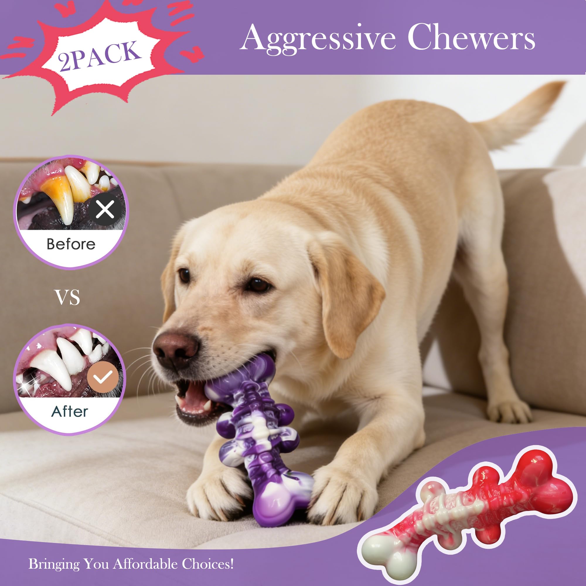 Generic Dinosaur Spine Toy dental action with vertebra-inspired design.