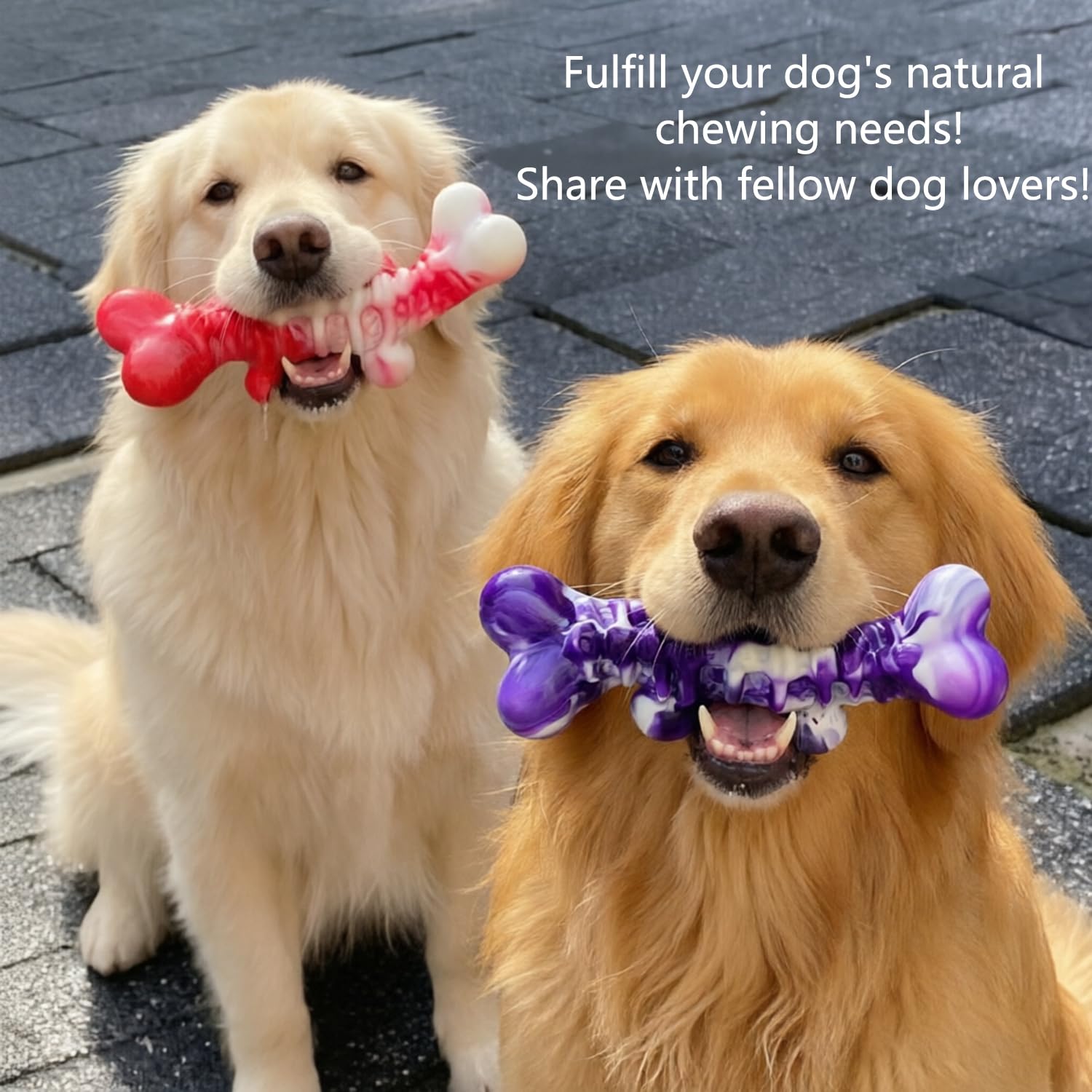 Generic Dinosaur Spine Toy suited for medium and large dogs during play.
