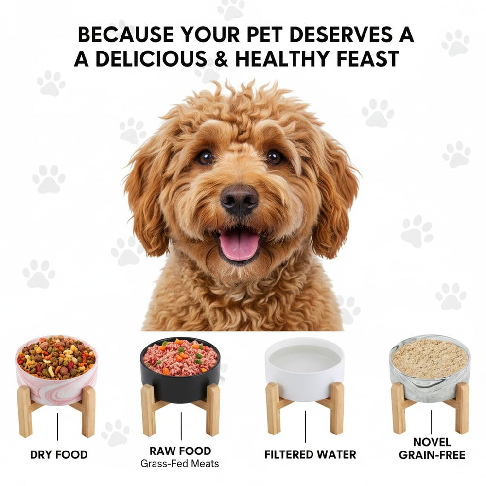 Generic dishwasher-safe ceramic dog bowl for quick, hygienic cleanup.