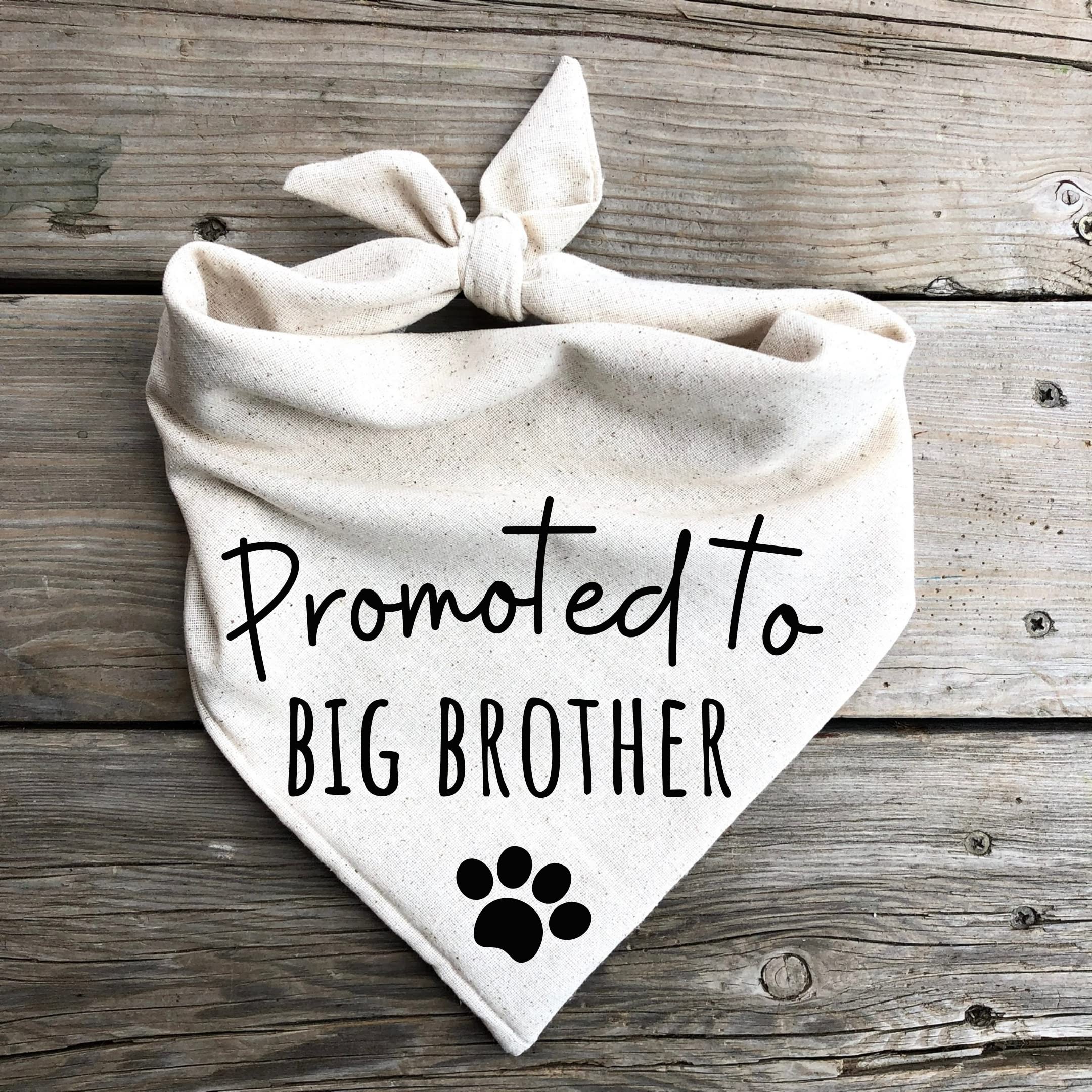 Generic Dog Bandana showing heat pressed personalized wording.
