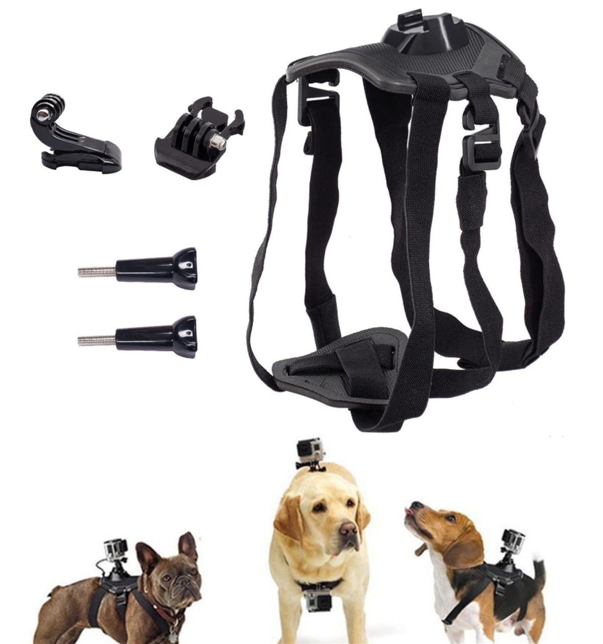 Generic dog camera mount harness on back view for hands-free action filming with your dog.