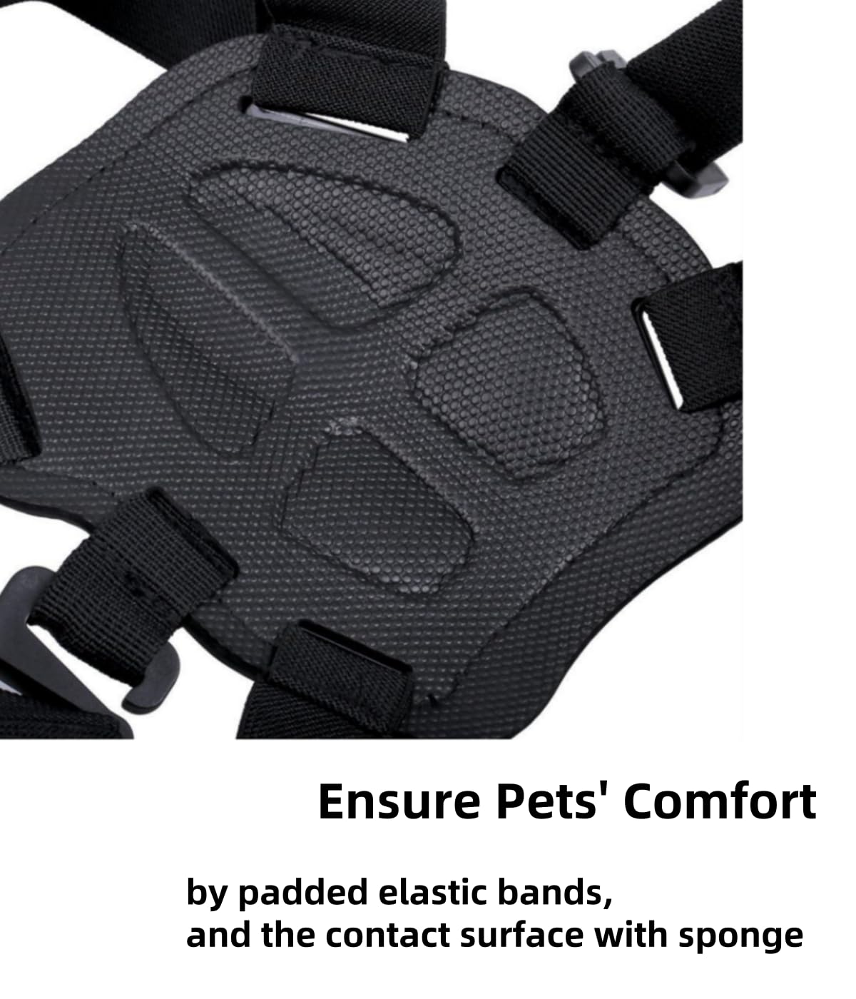 Generic dog harness comfort closeup shows padded straps and sponge contact surface.