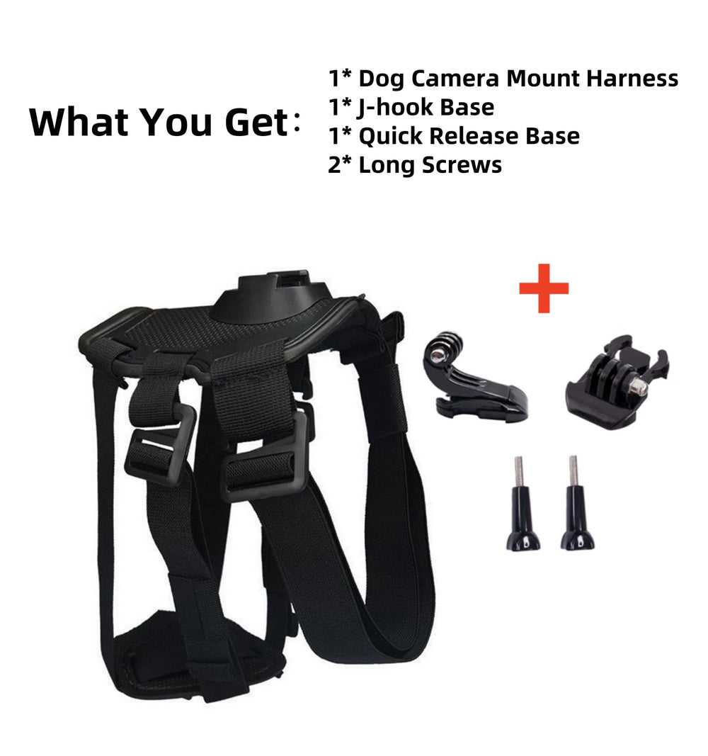 Generic dog harness worn in action on medium to large dog during a hike.