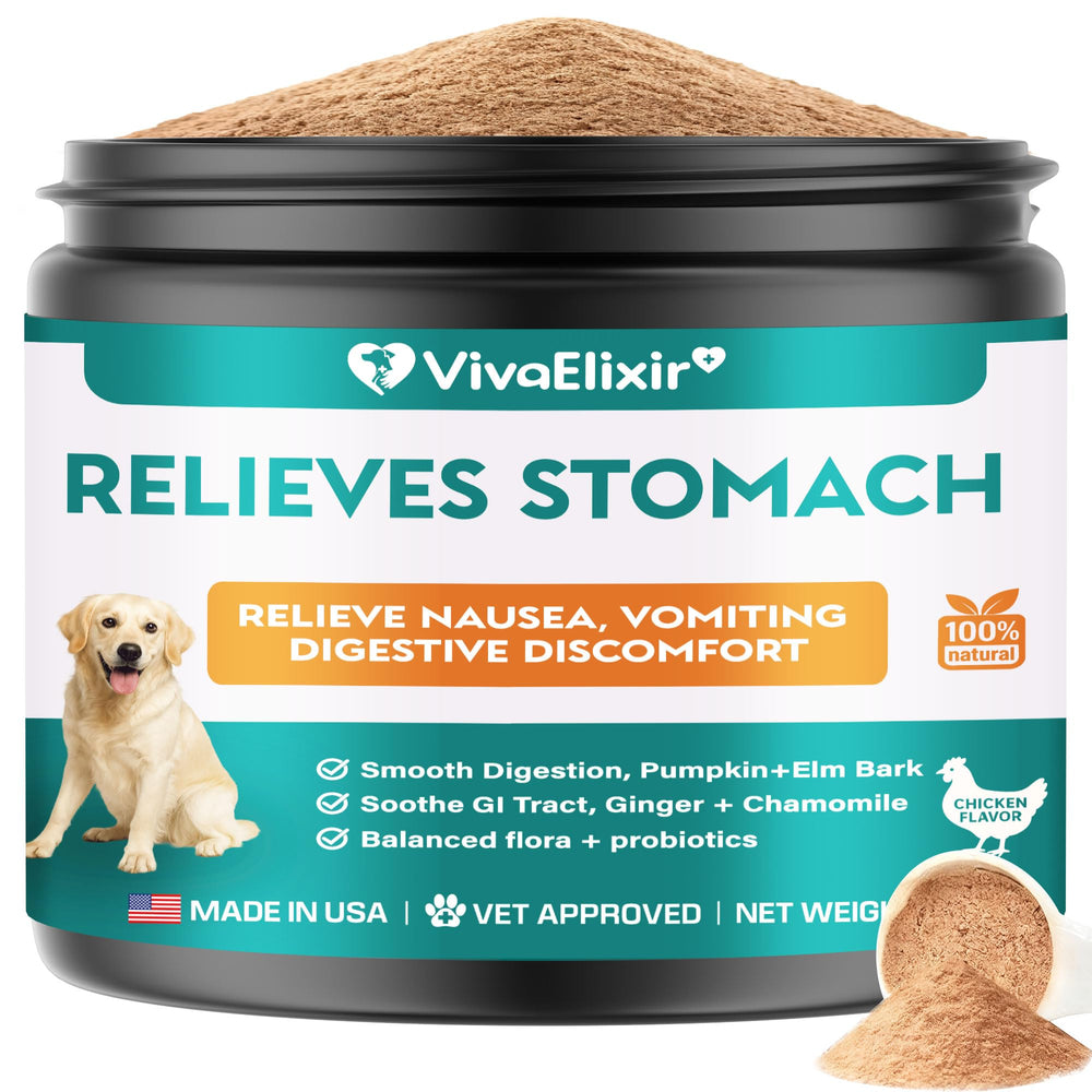 Generic Dog Upset Stomach Relief bottle supports gentle digestion in dogs
