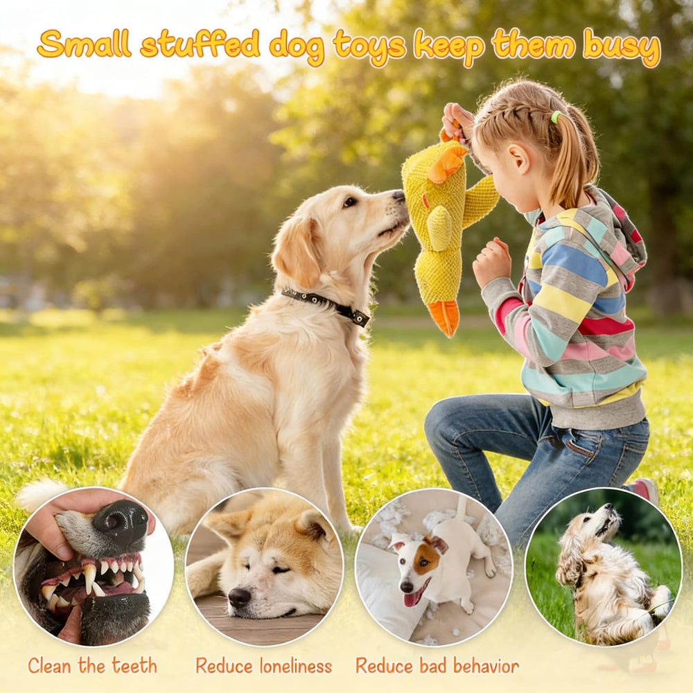 Generic durable cotton dog toy stitching close-up shows chew resistance