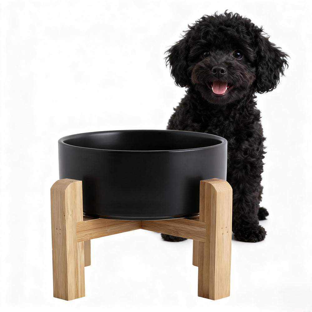 Generic elevated ceramic dog bowl with stand in black for easy, neck-friendly meals.