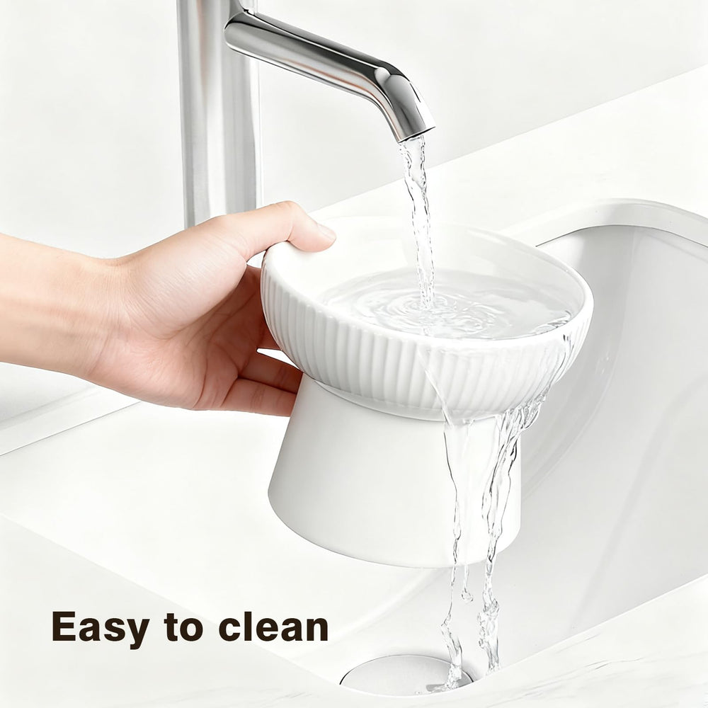 Generic ergonomic cat feeding dish promotes natural posture while eating.