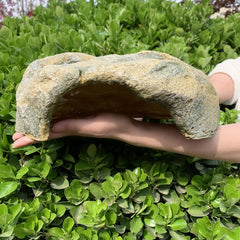 Generic Extra Large Resin Reptile Hide Cave top basking platform for sunning