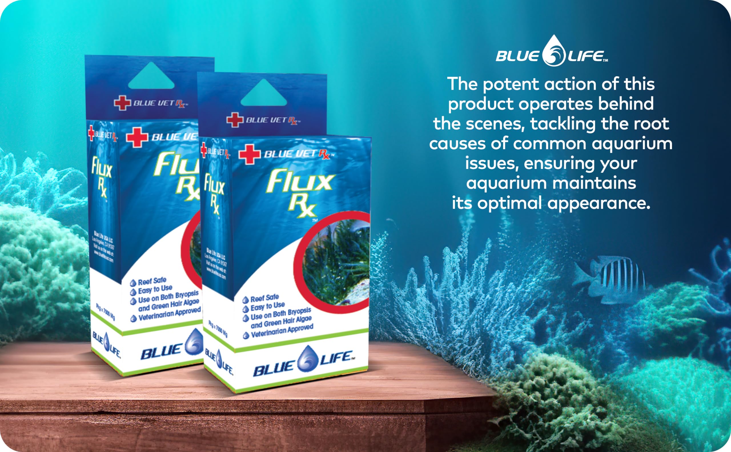 Generic Flux RX 7000mg aquarium environment snapshot conveys calm, healthy underwater habitat.