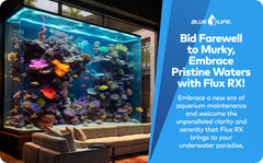Generic Flux RX 7000mg aquarium water clarity image suggests pristine, crystal-like tank.