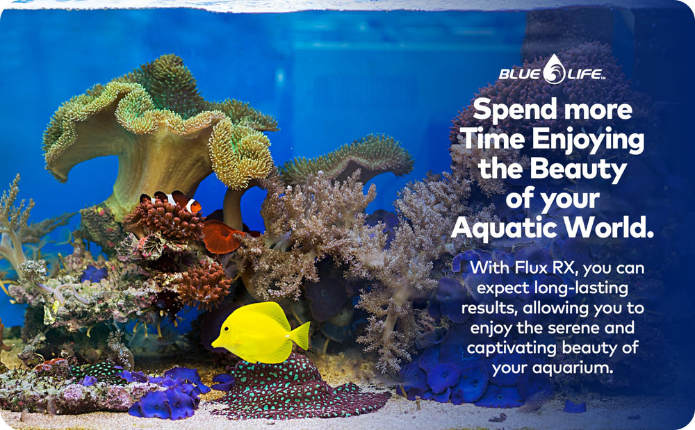 Generic Flux RX 7000mg bottle on shelf conveys reliable aquarium care option.