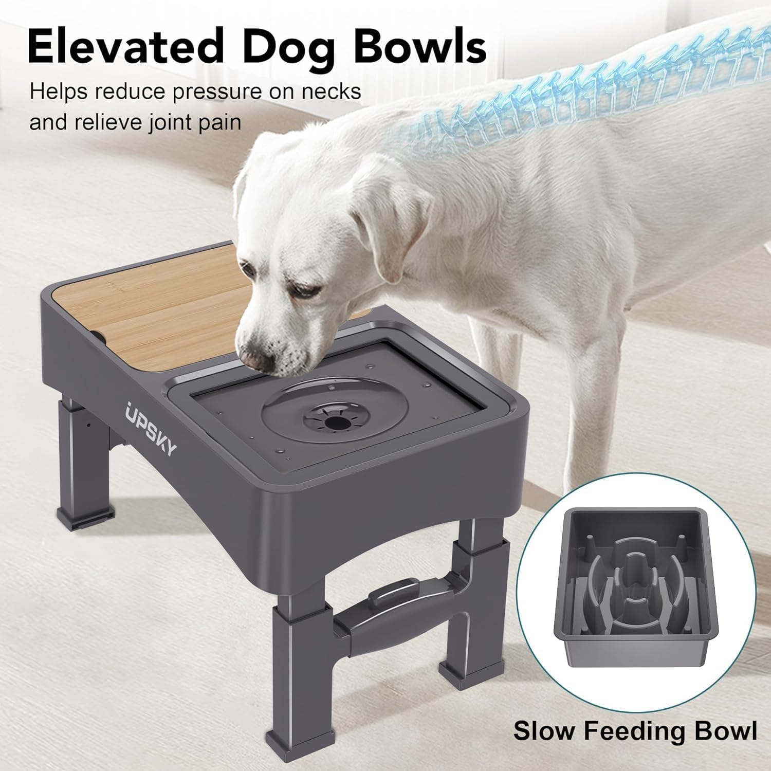 Generic foldable, tool-free assembly for storage or travel with your dog bowl.