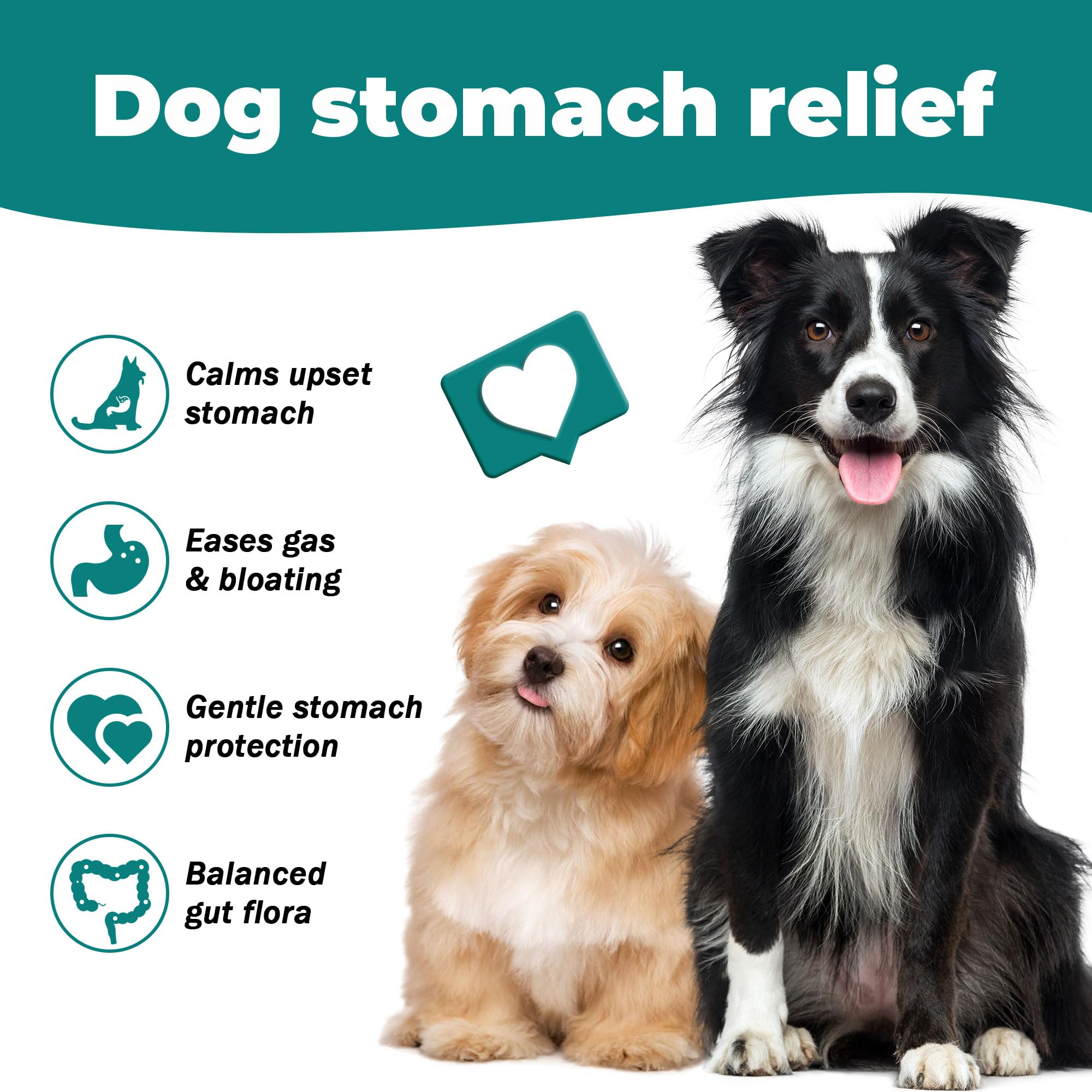 Generic Ginger Root and Chamomile blend aids calm digestion in dogs