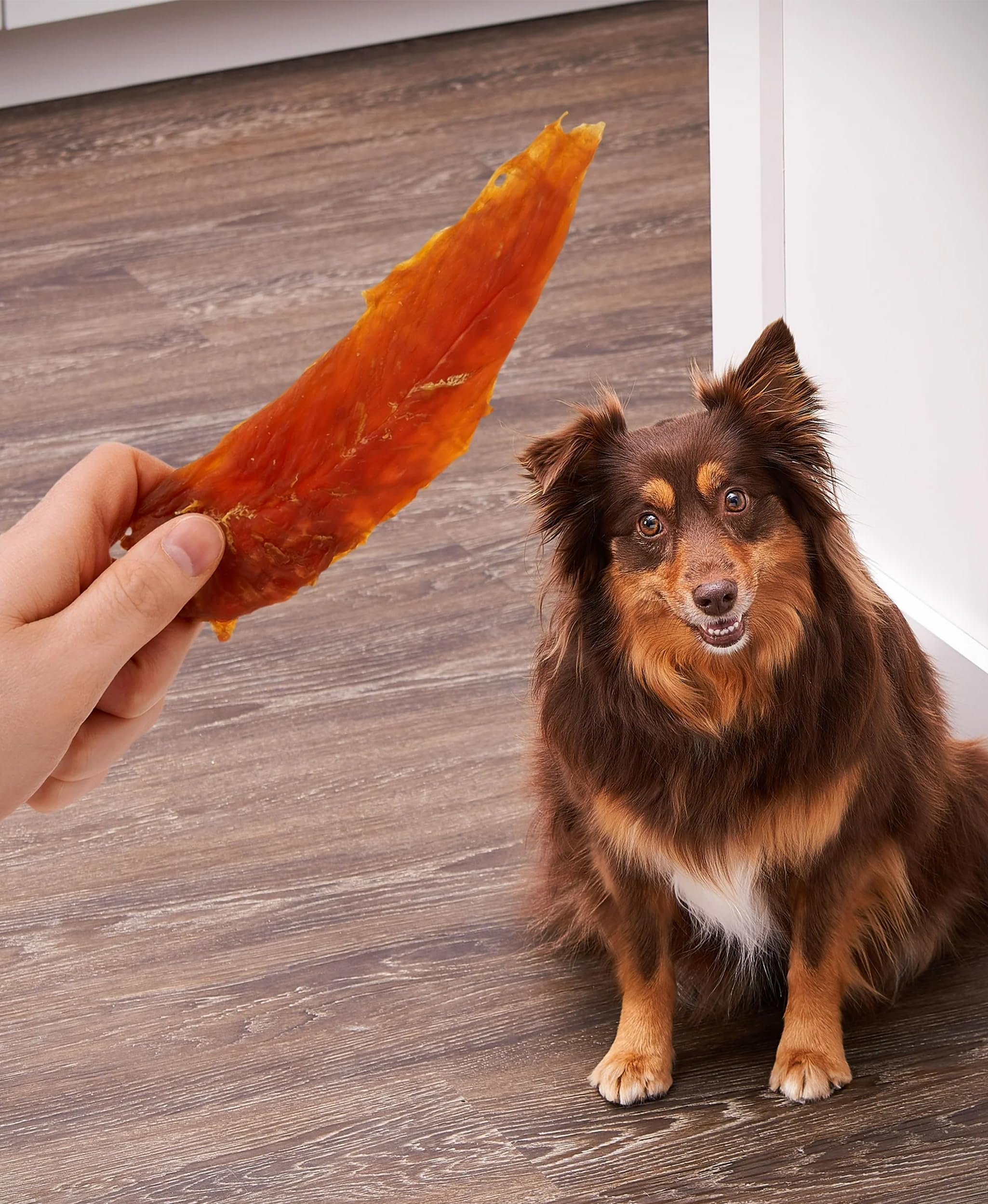 Generic Golden Rewards chicken jerky resealable bag keeps freshness.