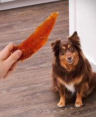 Generic Golden Rewards chicken jerky resealable bag keeps freshness.