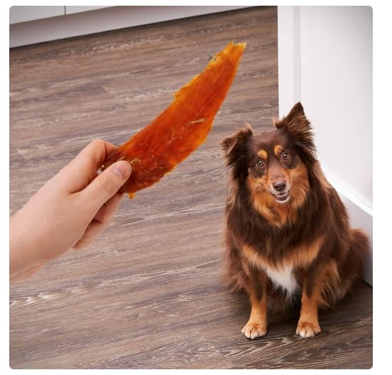 Generic Golden Rewards for all dogs sizes bag suitable for any size