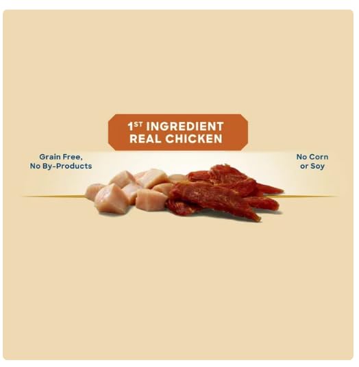 Close-up of Generic Golden Rewards jerky bite texture highlighting chewy, savory mouthfeel