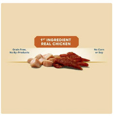 Close-up of Generic Golden Rewards jerky bite texture highlighting chewy, savory mouthfeel
