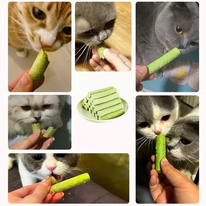 Generic Hairball Relief Cat Grass Stick supports digestion during grooming and nibbling.