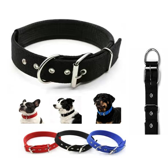 Generic Heavy-Duty Nylon Dog Collar: buckle close-up for secure outdoor walks.