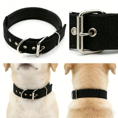 Generic Heavy-Duty Nylon Dog Collar: side profile on a dog for daily wear.