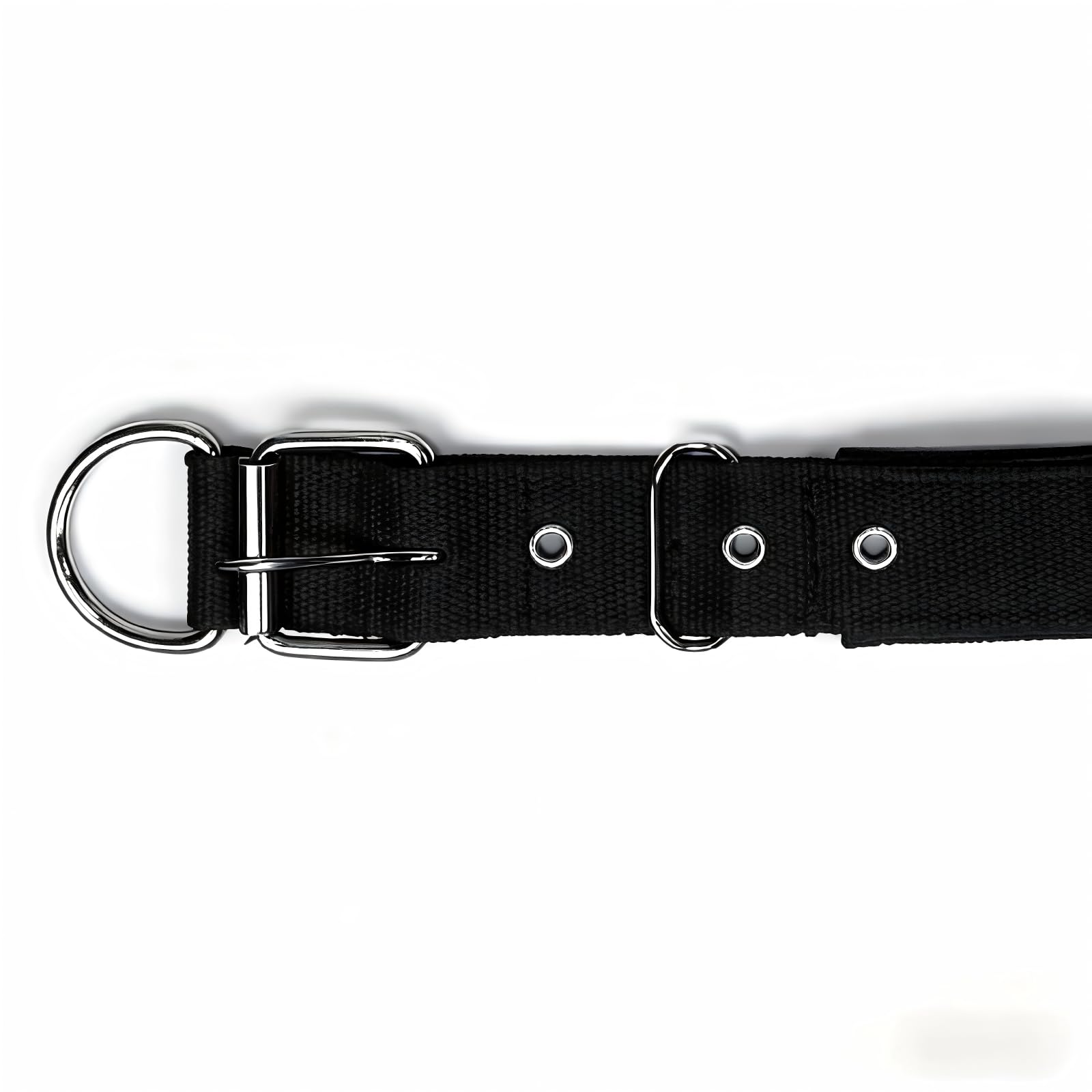 Generic Heavy-Duty Nylon Dog Collar: waterproof texture suitable for all-weather use.