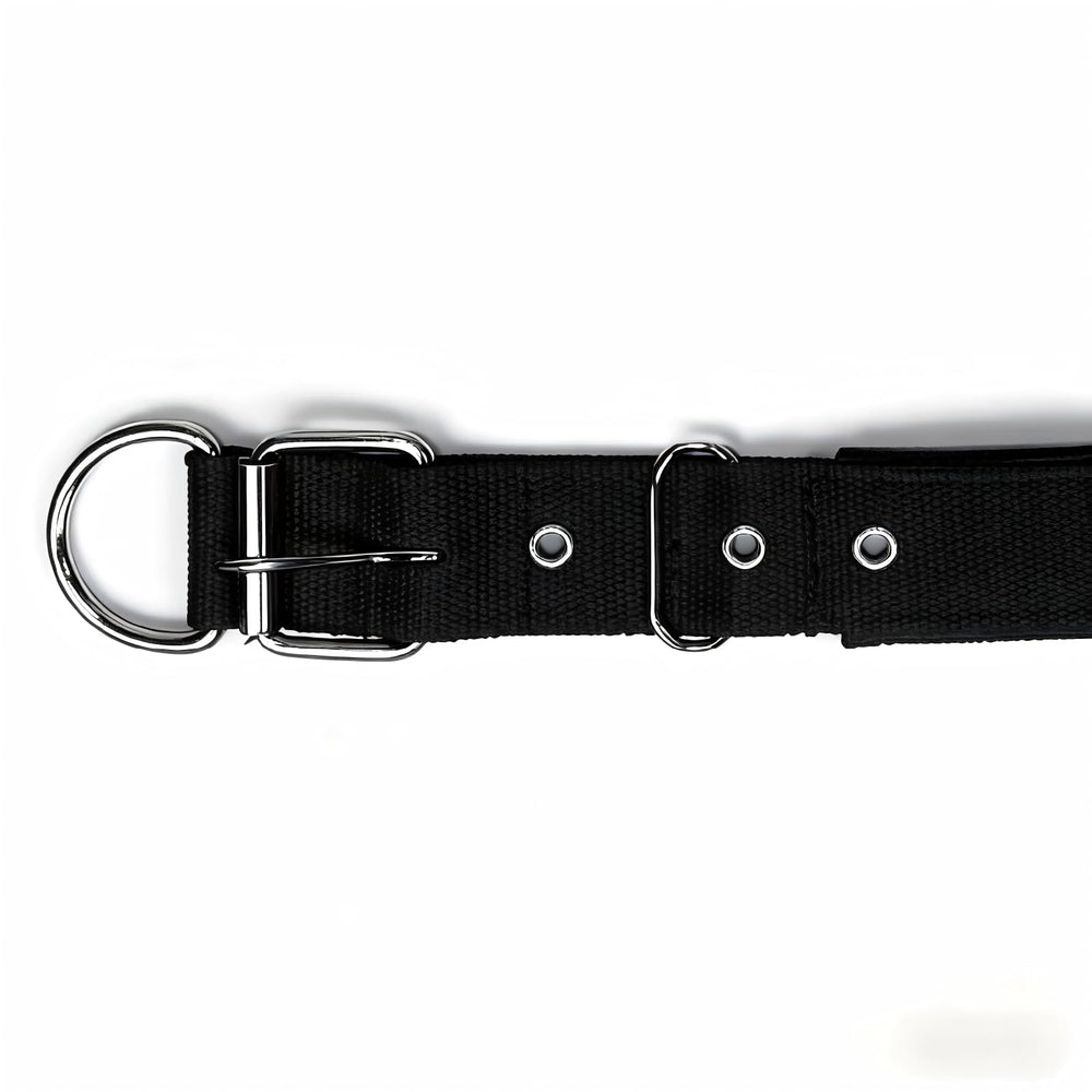 Generic Heavy-Duty Nylon Dog Collar: waterproof texture suitable for all-weather use.