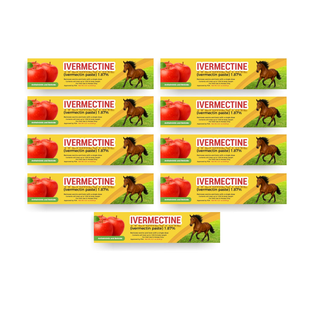 Generic Horse Paste Gel apple flavored syringe with weight based dosing