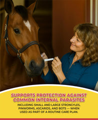 Generic Horse Paste Gel pre filled syringe for convenient use