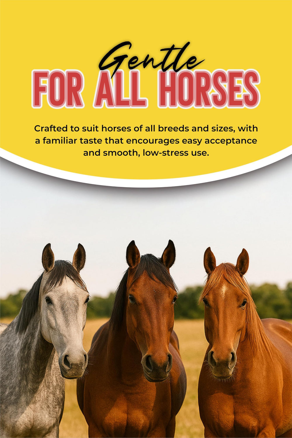 Generic Horse Paste Gel two syringe pack ready to use