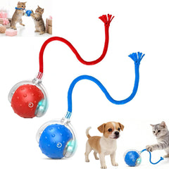 Generic Interactive Cat Ball full view in blue and red, ideal for indoor play.